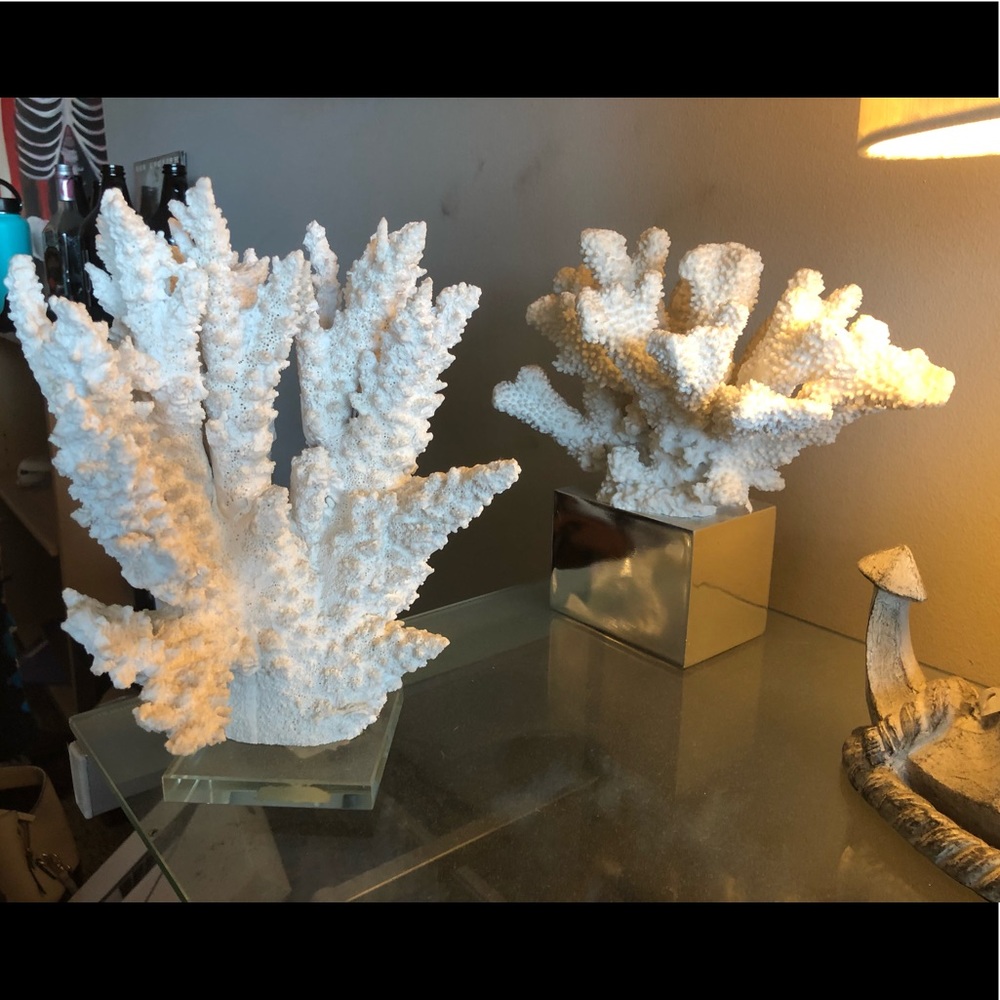 Coral home decor